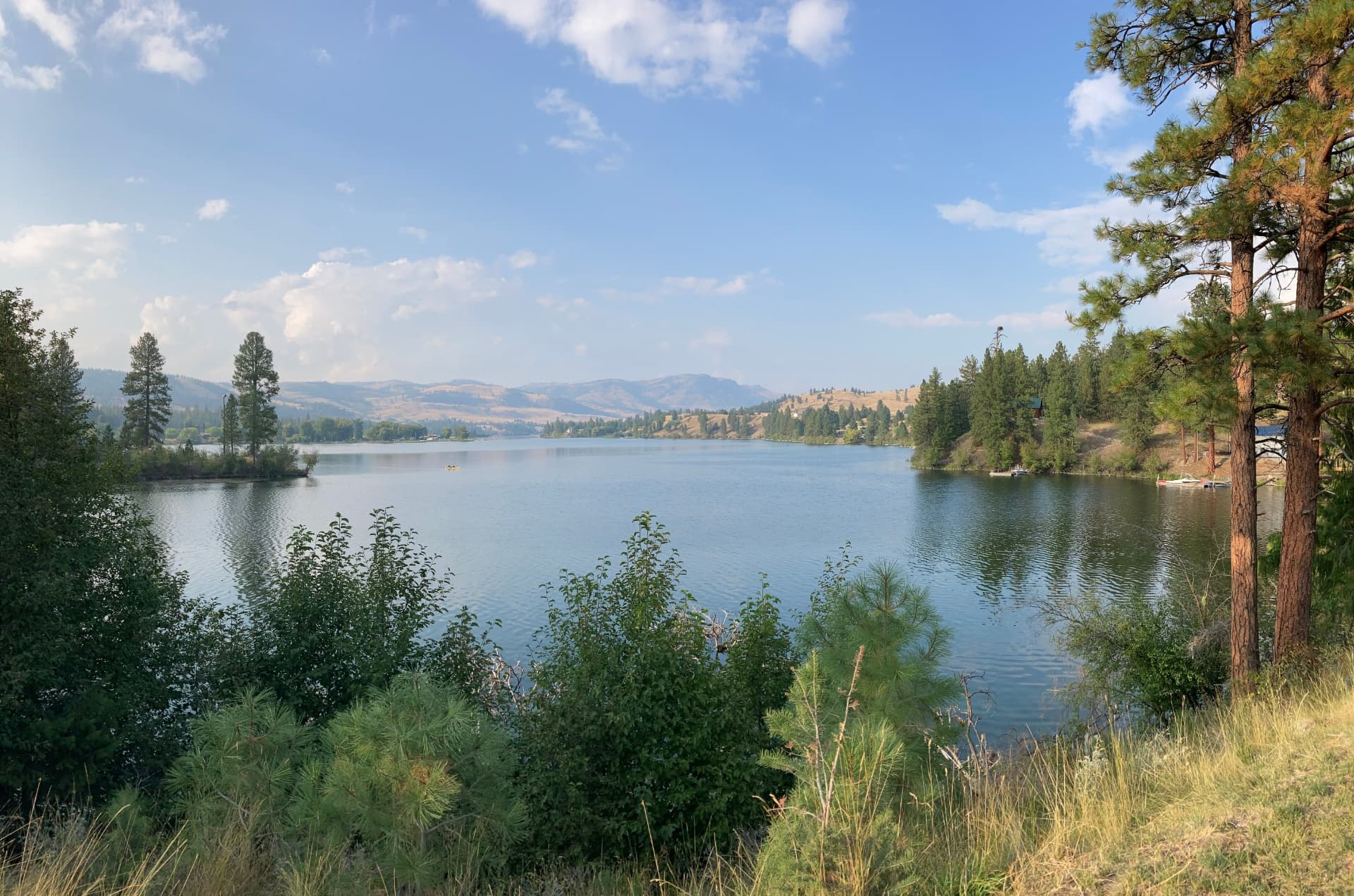 Tranquil lake and forest landscape representing RECORE™'s commitment to natural, sustainable biomaterials