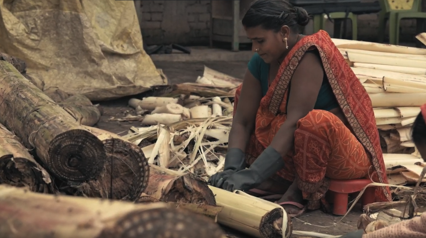 A rural woman preparing banana pseudostems for fibre extraction